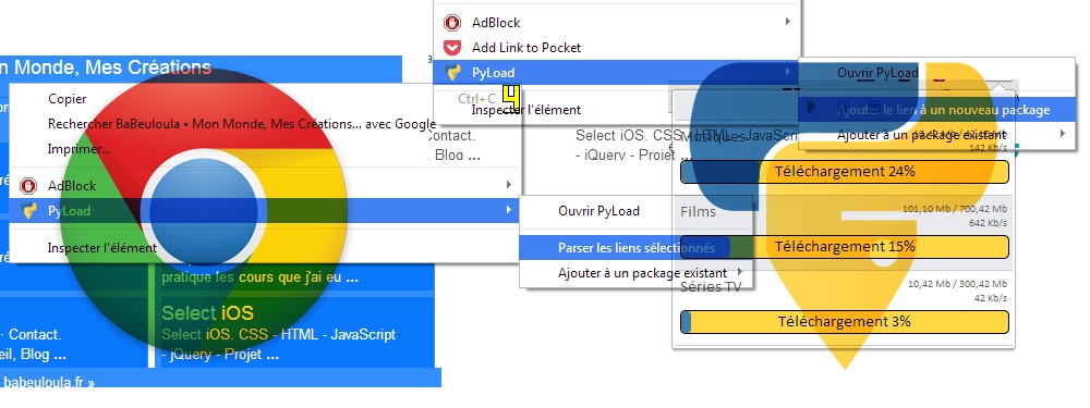 Extension Pyload pour Google Chrome